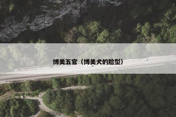 博美五官（博美犬的脸型）