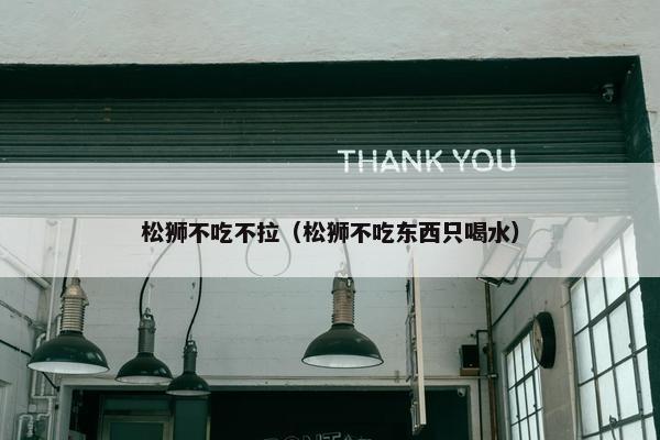 松狮不吃不拉（松狮不吃东西只喝水）