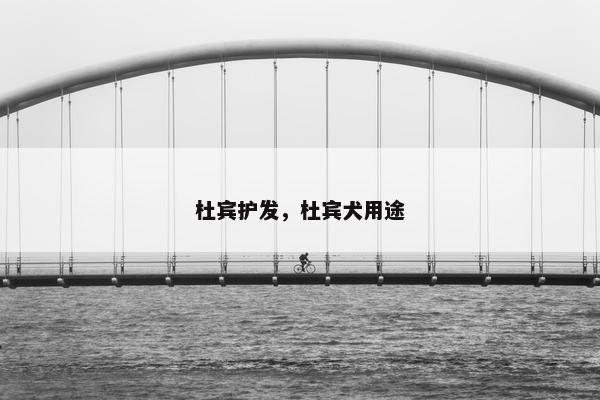 杜宾护发，杜宾犬用途