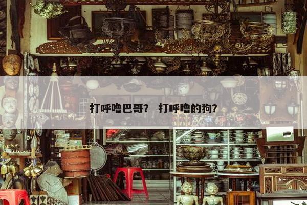 打呼噜巴哥？ 打呼噜的狗？