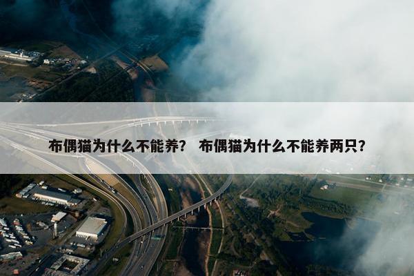 布偶猫为什么不能养？ 布偶猫为什么不能养两只？