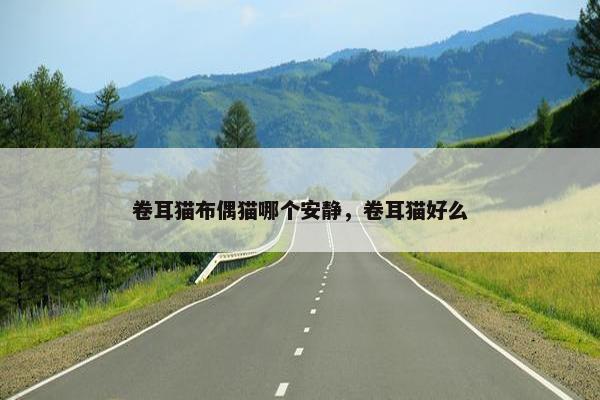 卷耳猫布偶猫哪个安静，卷耳猫好么