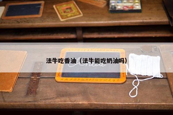 法牛吃香油（法牛能吃奶油吗）