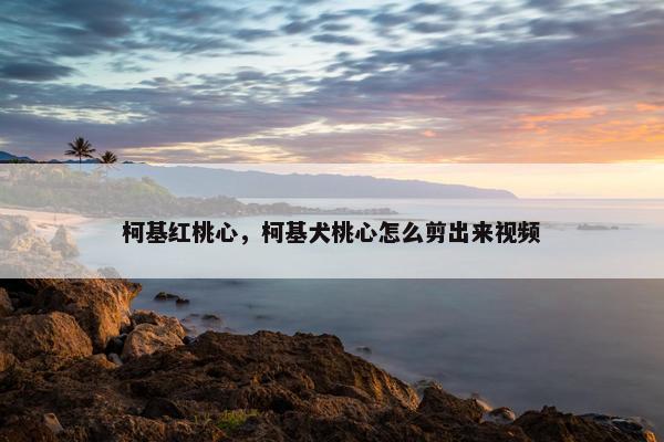 柯基红桃心，柯基犬桃心怎么剪出来视频