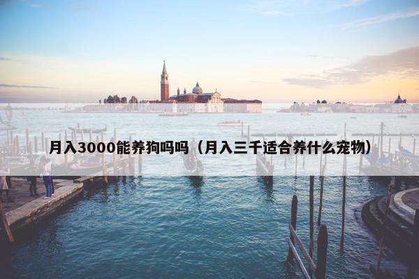 月入3000能养狗吗吗（月入三千适合养什么宠物）