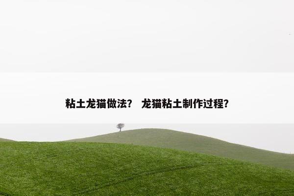 粘土龙猫做法？ 龙猫粘土制作过程？
