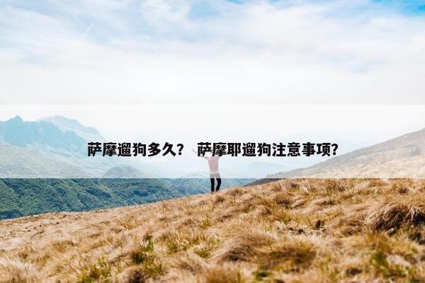 萨摩遛狗多久？ 萨摩耶遛狗注意事项？