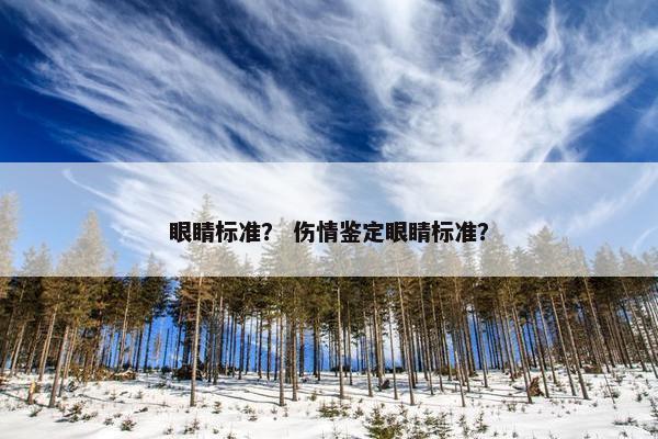 眼睛标准？ 伤情鉴定眼睛标准？