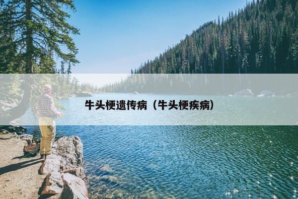 牛头梗遗传病（牛头梗疾病）