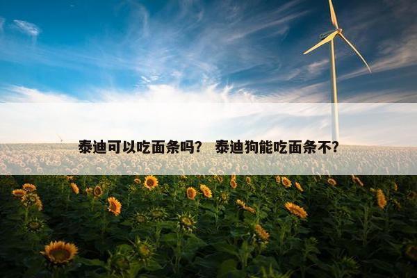 泰迪可以吃面条吗？ 泰迪狗能吃面条不？