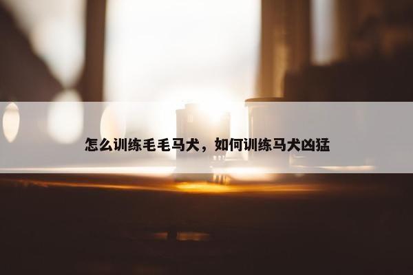 怎么训练毛毛马犬，如何训练马犬凶猛