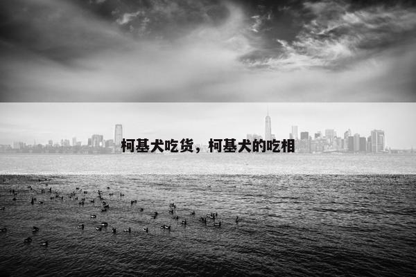 柯基犬吃货，柯基犬的吃相