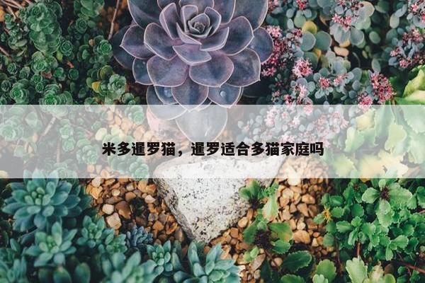 人民币