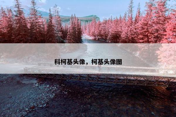 科柯基头像，柯基头像图