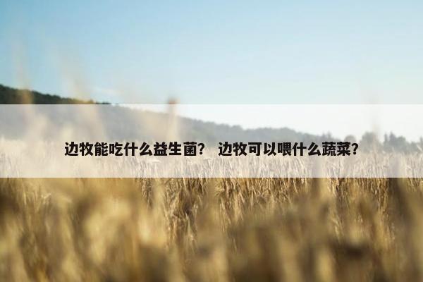 边牧能吃什么益生菌？ 边牧可以喂什么蔬菜？