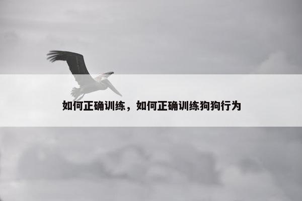 动作