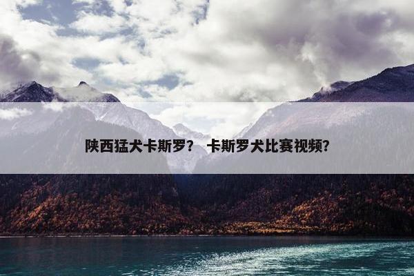 陕西猛犬卡斯罗？ 卡斯罗犬比赛视频？