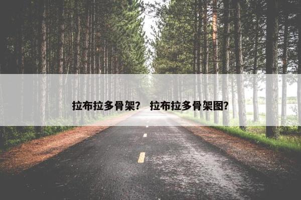 拉布拉多骨架？ 拉布拉多骨架图？