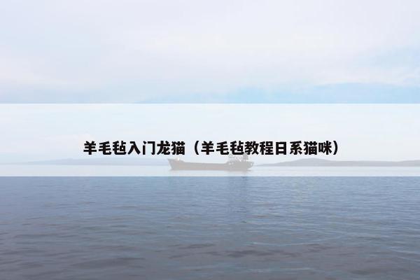 羊毛毡入门龙猫（羊毛毡教程日系猫咪）