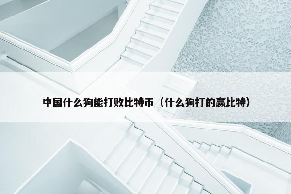 中国什么狗能打败比特币（什么狗打的赢比特）