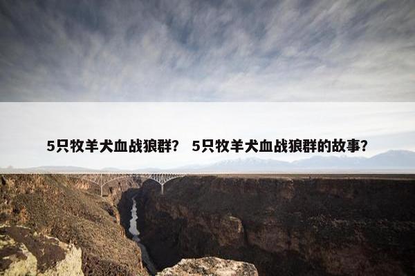 5只牧羊犬血战狼群？ 5只牧羊犬血战狼群的故事？