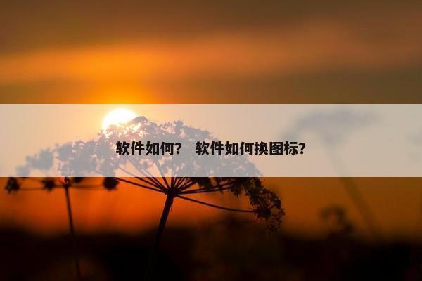 安装