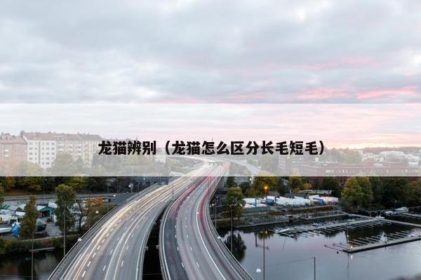 龙猫辨别（龙猫怎么区分长毛短毛）