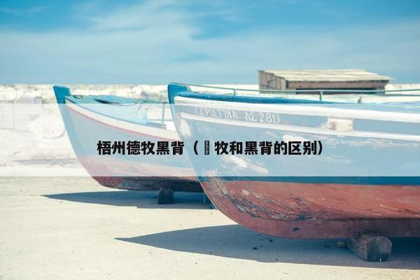 梧州德牧黑背（徳牧和黑背的区别）