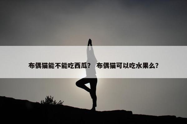 布偶猫能不能吃西瓜？ 布偶猫可以吃水果么？