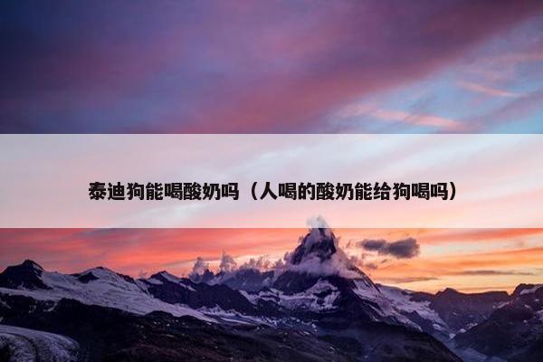 泰迪狗能喝酸奶吗（人喝的酸奶能给狗喝吗）
