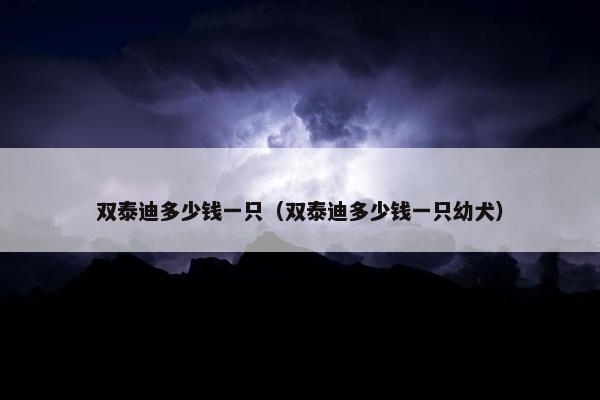 双泰迪多少钱一只（双泰迪多少钱一只幼犬）