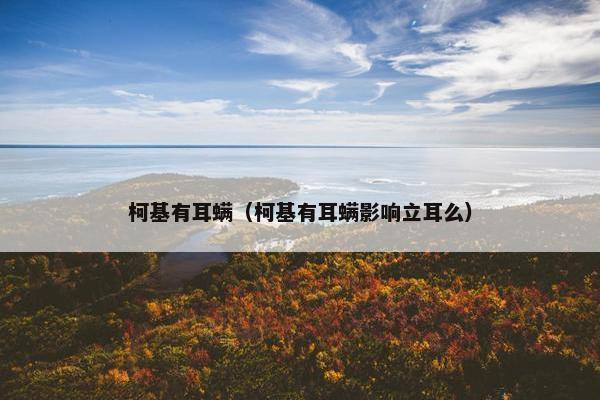 柯基有耳螨（柯基有耳螨影响立耳么）