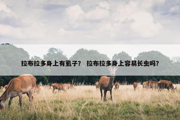 拉布拉多身上有虱子？ 拉布拉多身上容易长虫吗？