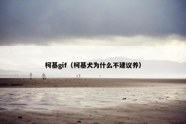 柯基gif（柯基犬为什么不建议养）