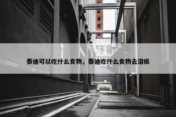 泰迪可以吃什么食物，泰迪吃什么食物去泪痕