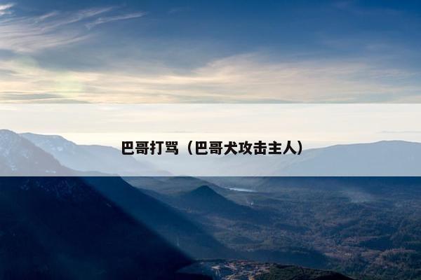 巴哥打骂（巴哥犬攻击主人）