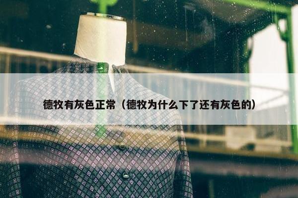 德牧有灰色正常（德牧为什么下了还有灰色的）