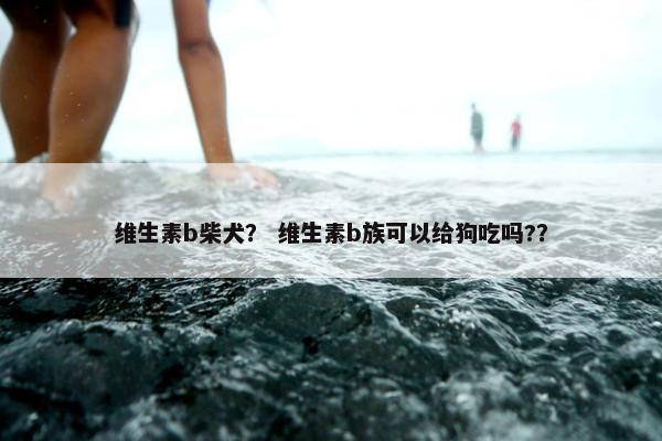 维生素b柴犬？ 维生素b族可以给狗吃吗?？