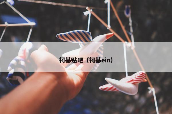 柯基贴吧（柯基ein）