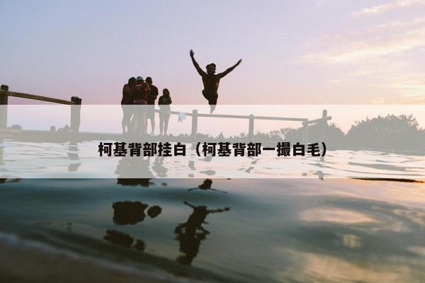 柯基背部挂白（柯基背部一撮白毛）