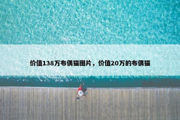 价值138万布偶猫图片，价值20万的布偶猫