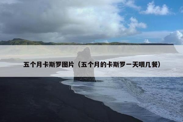 五个月卡斯罗图片（五个月的卡斯罗一天喂几餐）