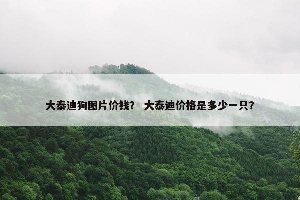 大泰迪狗图片价钱？ 大泰迪价格是多少一只？
