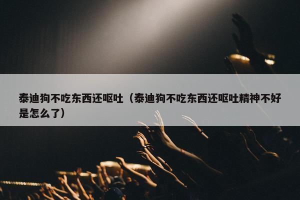 泰迪狗不吃东西还呕吐（泰迪狗不吃东西还呕吐精神不好是怎么了）