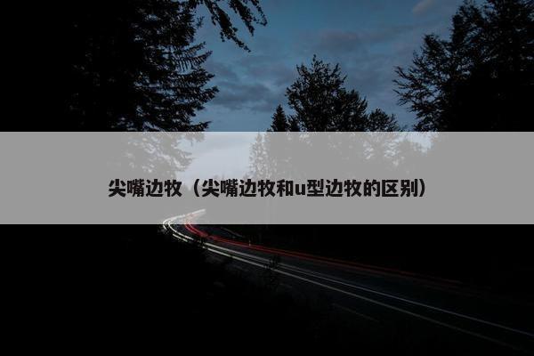 尖嘴边牧（尖嘴边牧和u型边牧的区别）