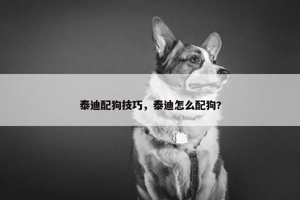 泰迪配狗技巧，泰迪怎么配狗?