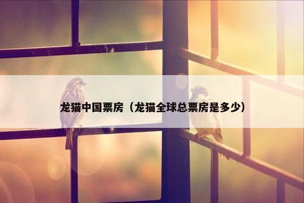 龙猫中国票房（龙猫全球总票房是多少）