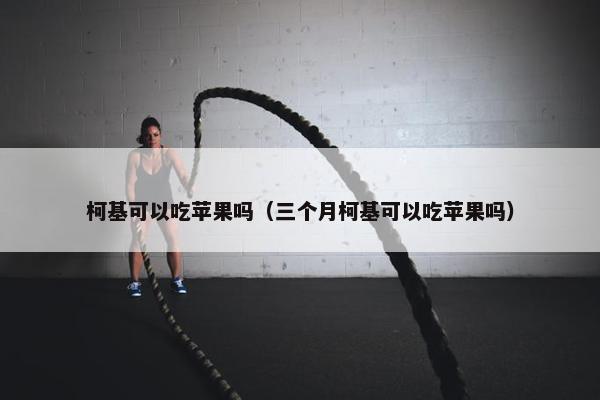 柯基可以吃苹果吗（三个月柯基可以吃苹果吗）