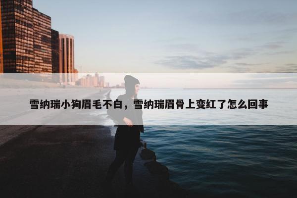 雪纳瑞小狗眉毛不白，雪纳瑞眉骨上变红了怎么回事