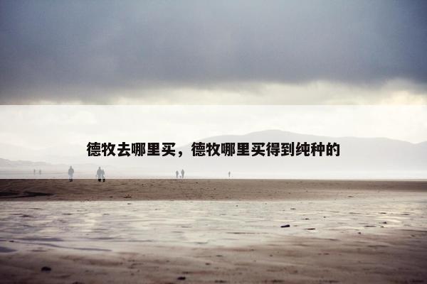 德牧去哪里买，德牧哪里买得到纯种的